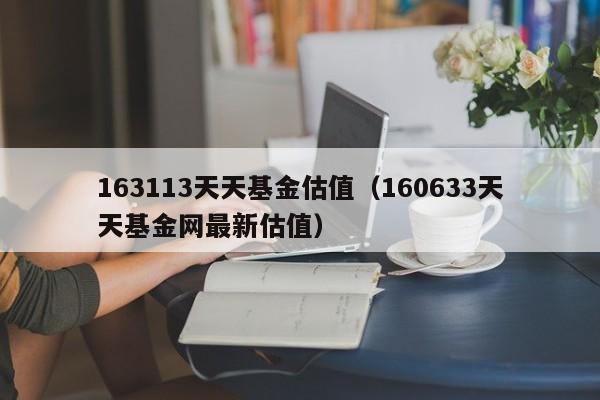 163113申万证券(申万中证申万证券行业163113)